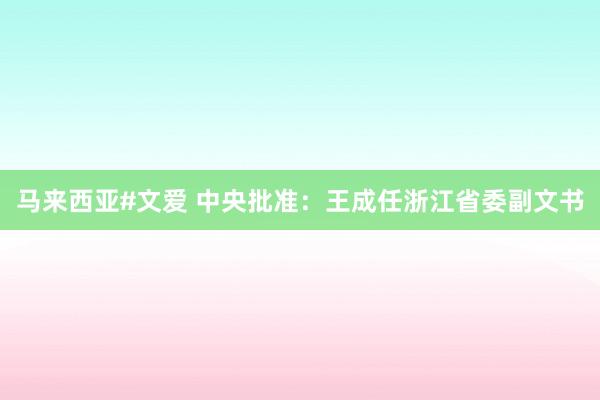 马来西亚#文爱 中央批准：王成任浙江省委副文书