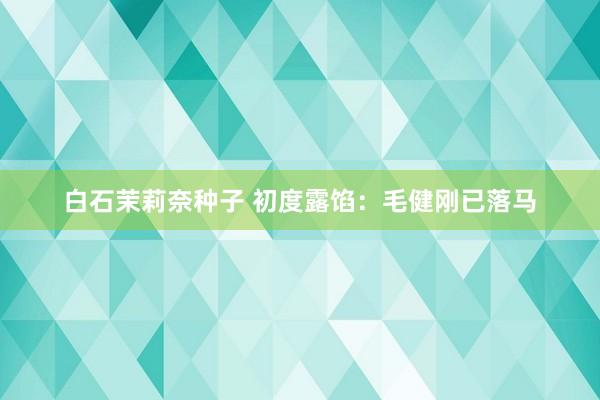白石茉莉奈种子 初度露馅：毛健刚已落马