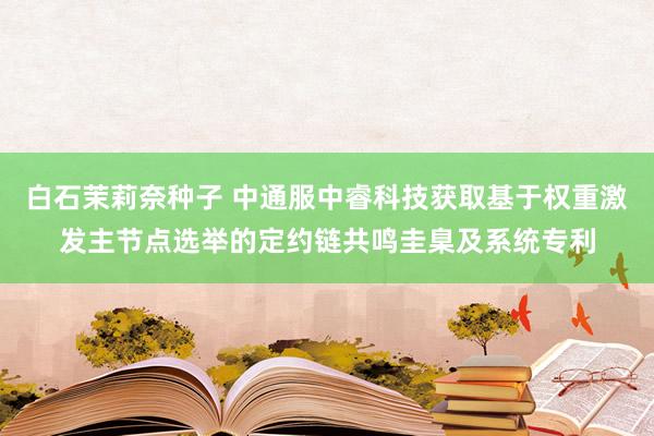 白石茉莉奈种子 中通服中睿科技获取基于权重激发主节点选举的定约链共鸣圭臬及系统专利