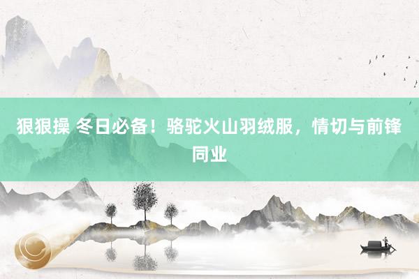 狠狠操 冬日必备！骆驼火山羽绒服，情切与前锋同业