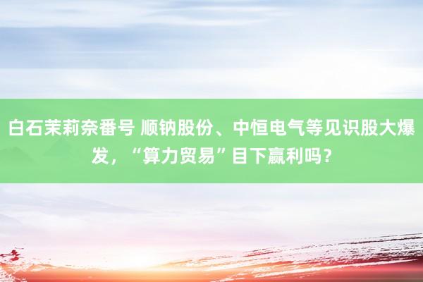 白石茉莉奈番号 顺钠股份、中恒电气等见识股大爆发，“算力贸易”目下赢利吗？