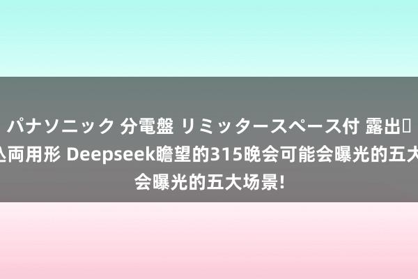 パナソニック 分電盤 リミッタースペース付 露出・半埋込両用形 Deepseek瞻望的315晚会可能会曝光的五大场景!