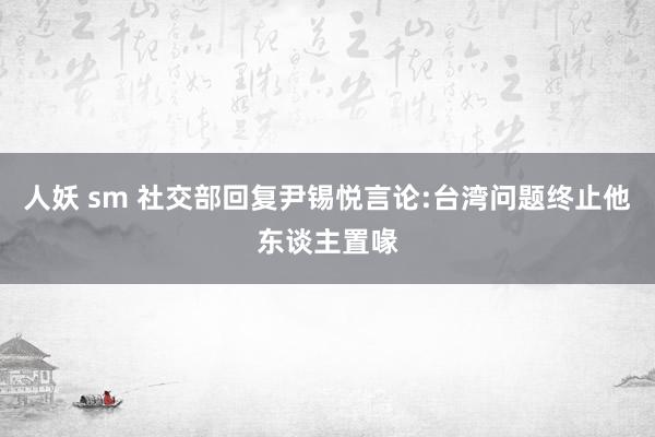 人妖 sm 社交部回复尹锡悦言论:台湾问题终止他东谈主置喙