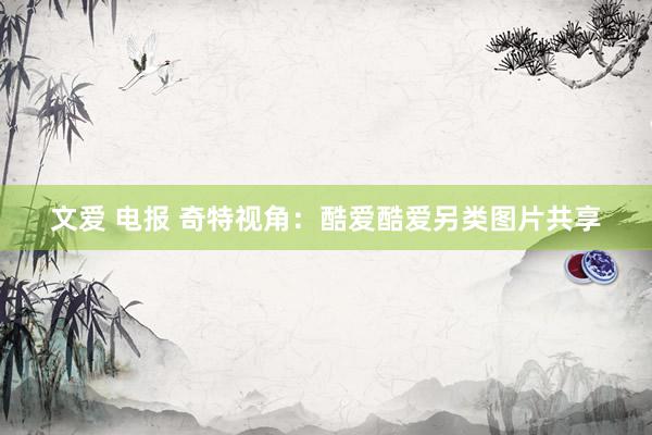 文爱 电报 奇特视角：酷爱酷爱另类图片共享