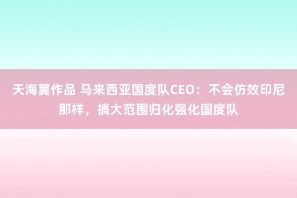 天海翼作品 马来西亚国度队CEO：不会仿效印尼那样，搞大范围归化强化国度队