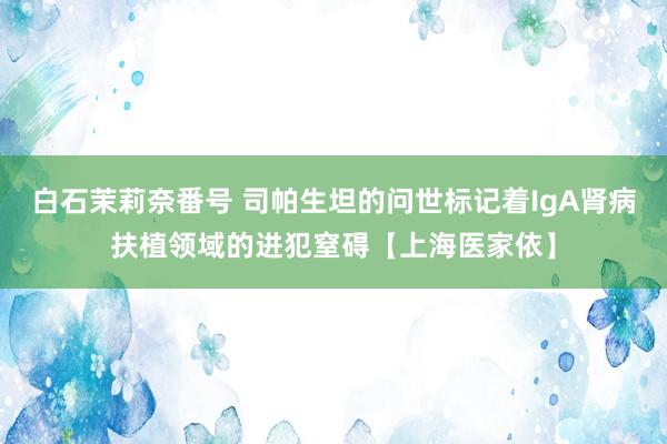 白石茉莉奈番号 司帕生坦的问世标记着IgA肾病扶植领域的进犯窒碍【上海医家依】
