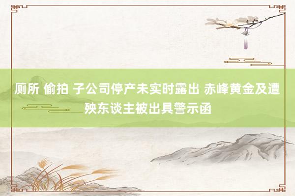 厕所 偷拍 子公司停产未实时露出 赤峰黄金及遭殃东谈主被出具警示函