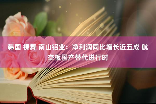 韩国 裸舞 南山铝业：净利润同比增长近五成 航空板国产替代进行时