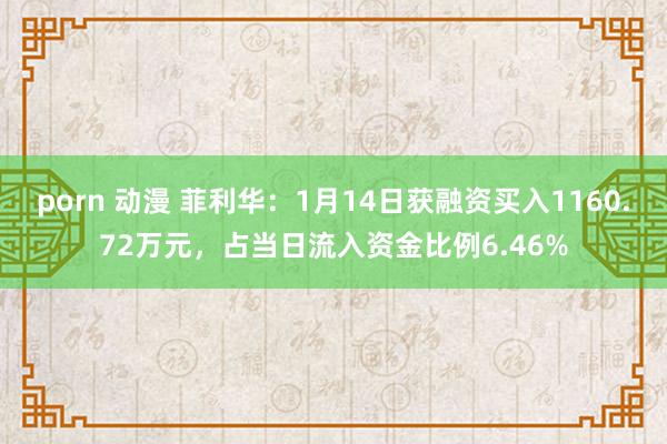 porn 动漫 菲利华：1月14日获融资买入1160.72万元，占当日流入资金比例6.46%