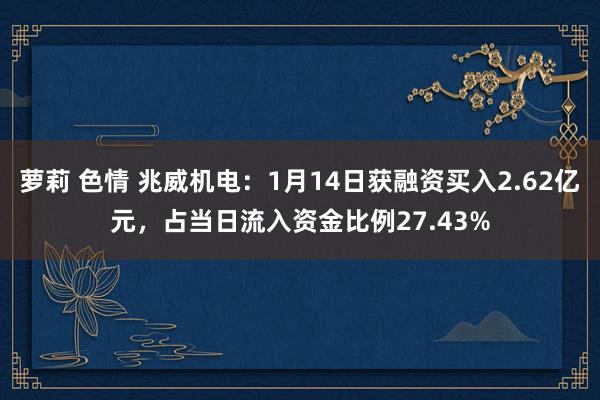 萝莉 色情 兆威机电：1月14日获融资买入2.62亿元，占当日流入资金比例27.43%