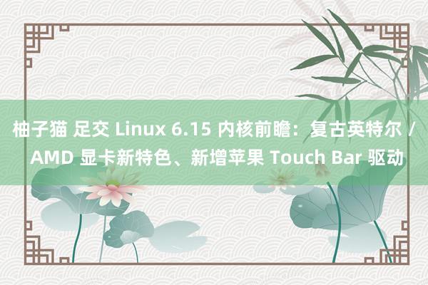 柚子猫 足交 Linux 6.15 内核前瞻：复古英特尔 / AMD 显卡新特色、新增苹果 Touch Bar 驱动