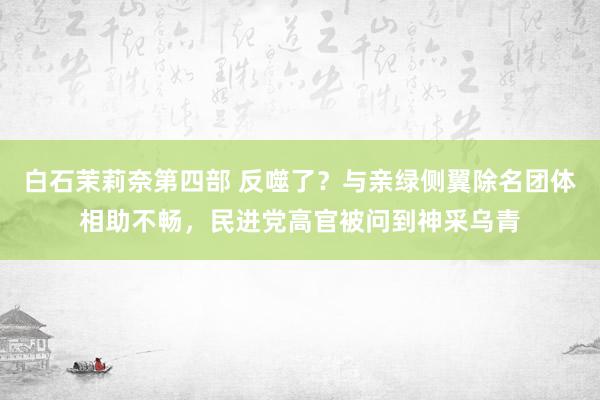 白石茉莉奈第四部 反噬了？与亲绿侧翼除名团体相助不畅，民进党高官被问到神采乌青