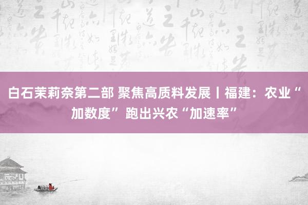 白石茉莉奈第二部 聚焦高质料发展丨福建：农业“加数度” 跑出兴农“加速率”