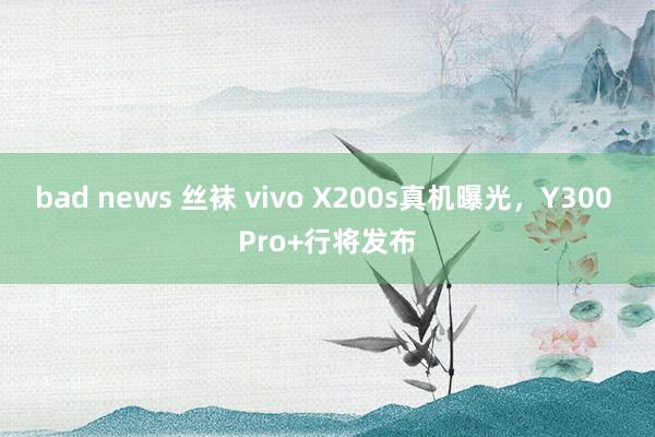 bad news 丝袜 vivo X200s真机曝光，Y300 Pro+行将发布