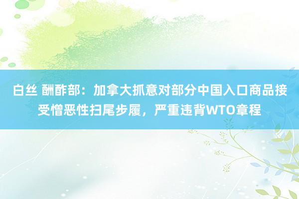 白丝 酬酢部：加拿大抓意对部分中国入口商品接受憎恶性扫尾步履，严重违背WTO章程