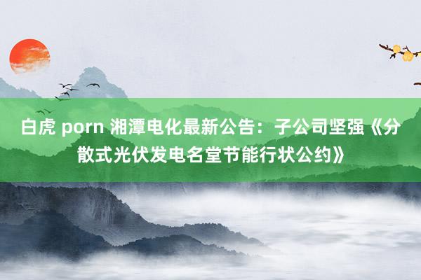 白虎 porn 湘潭电化最新公告：子公司坚强《分散式光伏发电名堂节能行状公约》