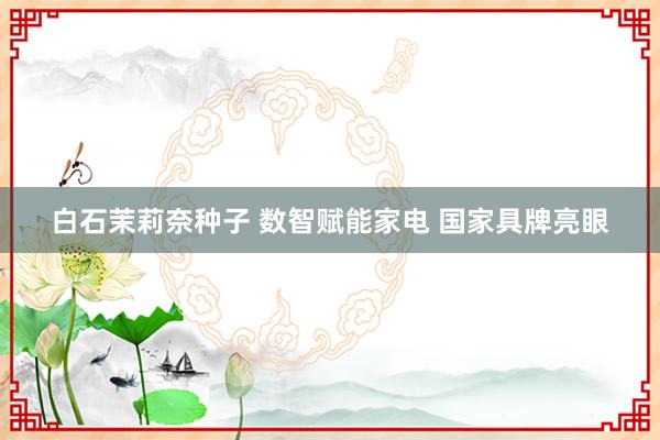 白石茉莉奈种子 数智赋能家电 国家具牌亮眼