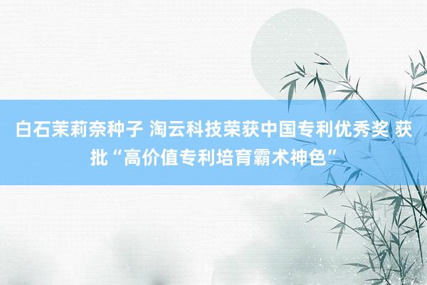 白石茉莉奈种子 淘云科技荣获中国专利优秀奖 获批“高价值专利培育霸术神色”