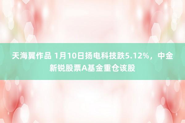 天海翼作品 1月10日扬电科技跌5.12%，中金新锐股票A基金重仓该股