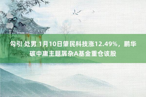 勾引 处男 1月10日肇民科技涨12.49%，鹏华碳中庸主题羼杂A基金重仓该股