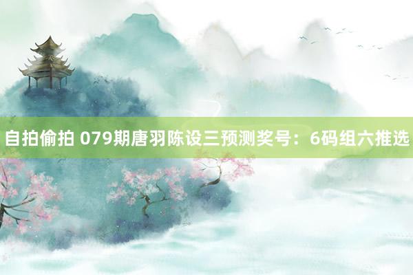 自拍偷拍 079期唐羽陈设三预测奖号：6码组六推选