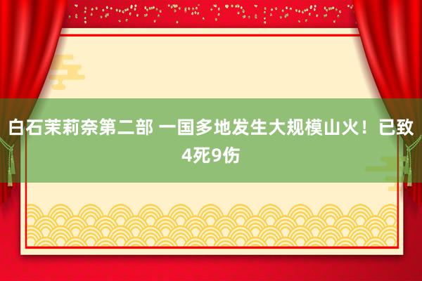 白石茉莉奈第二部 一国多地发生大规模山火！已致4死9伤
