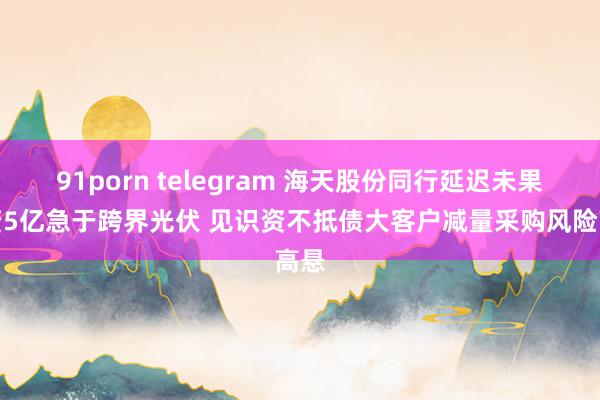 91porn telegram 海天股份同行延迟未果斥资5亿急于跨界光伏 见识资不抵债大客户减量采购风险高悬