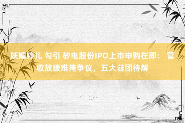 妖媚婷儿 勾引 矽电股份IPO上市申购在即： 营收放缓难掩争议，五大谜团待解
