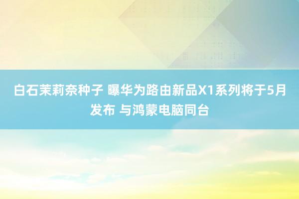 白石茉莉奈种子 曝华为路由新品X1系列将于5月发布 与鸿蒙电脑同台