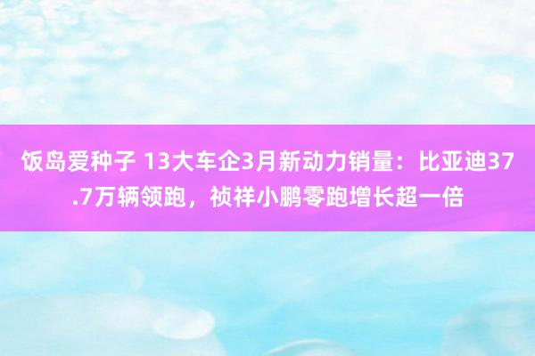 饭岛爱种子 13大车企3月新动力销量：比亚迪37.7万辆领跑，祯祥小鹏零跑增长超一倍