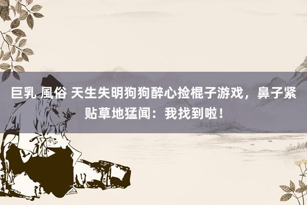 巨乳 風俗 天生失明狗狗醉心捡棍子游戏，鼻子紧贴草地猛闻：我找到啦！