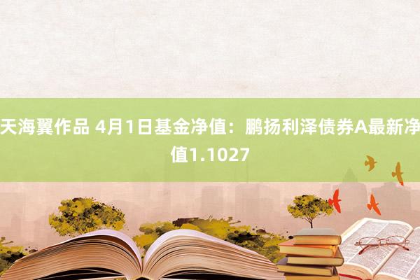 天海翼作品 4月1日基金净值：鹏扬利泽债券A最新净值1.1027