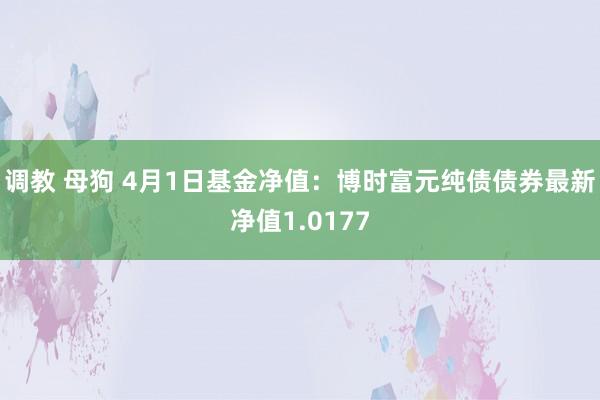 调教 母狗 4月1日基金净值：博时富元纯债债券最新净值1.0177