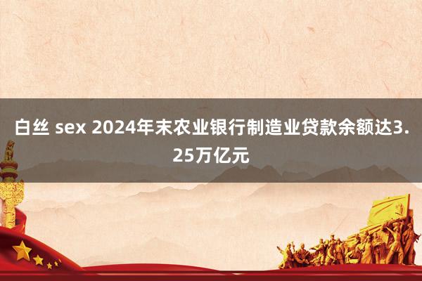 白丝 sex 2024年末农业银行制造业贷款余额达3.25万亿元