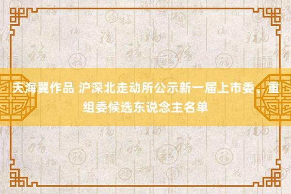 天海翼作品 沪深北走动所公示新一届上市委、重组委候选东说念主名单