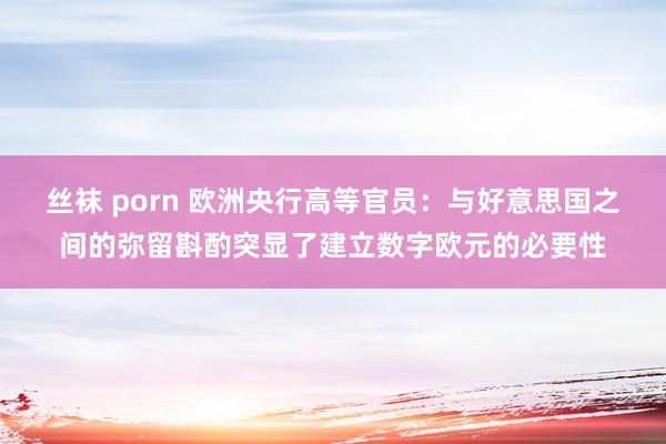 丝袜 porn 欧洲央行高等官员：与好意思国之间的弥留斟酌突显了建立数字欧元的必要性