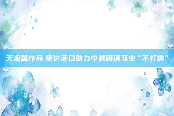 天海翼作品 贤达港口助力中越跨境商业“不打烊”
