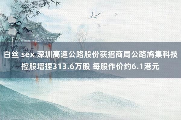 白丝 sex 深圳高速公路股份获招商局公路鸠集科技控股增捏313.6万股 每股作价约6.1港元