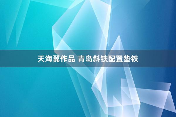 天海翼作品 青岛斜铁配置垫铁