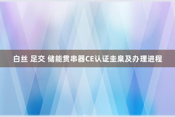 白丝 足交 储能贯串器CE认证圭臬及办理进程