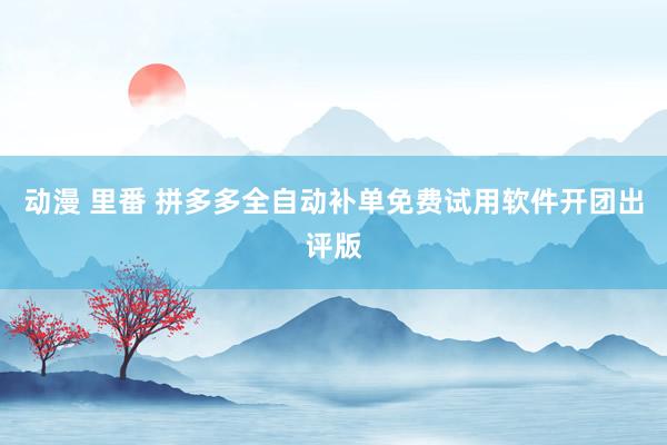 动漫 里番 拼多多全自动补单免费试用软件开团出评版
