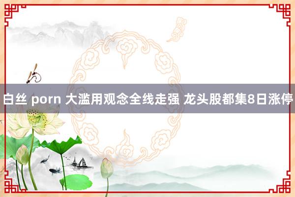 白丝 porn 大滥用观念全线走强 龙头股都集8日涨停
