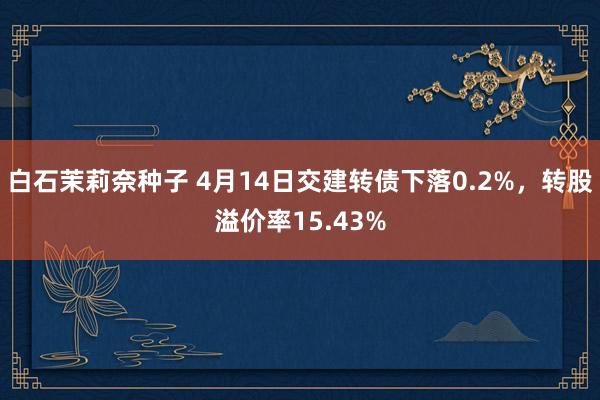 白石茉莉奈种子 4月14日交建转债下落0.2%，转股溢价率15.43%