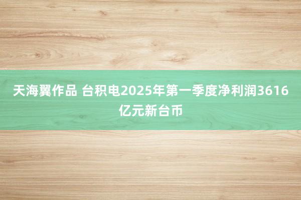 天海翼作品 台积电2025年第一季度净利润3616亿元新台币