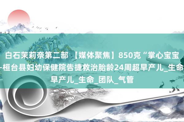 白石茉莉奈第二部 【媒体聚焦】850克“掌心宝宝”获救记——桓台县妇幼保健院告捷救治胎龄24周超早产儿_生命_团队_气管