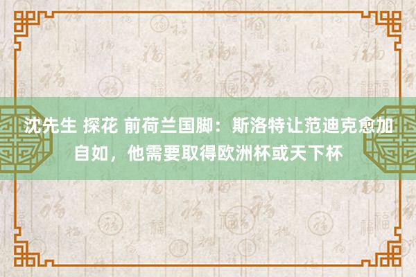 沈先生 探花 前荷兰国脚：斯洛特让范迪克愈加自如，他需要取得欧洲杯或天下杯