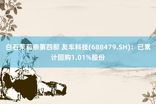 白石茉莉奈第四部 友车科技(688479.SH)：已累计回购1.01%股份