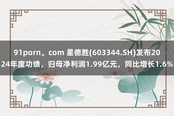 91porn。com 星德胜(603344.SH)发布2024年度功绩，归母净利润1.99亿元，同比增长1.6%