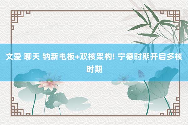文爱 聊天 钠新电板+双核架构! 宁德时期开启多核时期