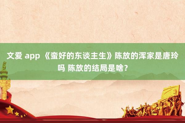 文爱 app 《蛮好的东谈主生》陈放的浑家是唐玲吗 陈放的结局是啥？
